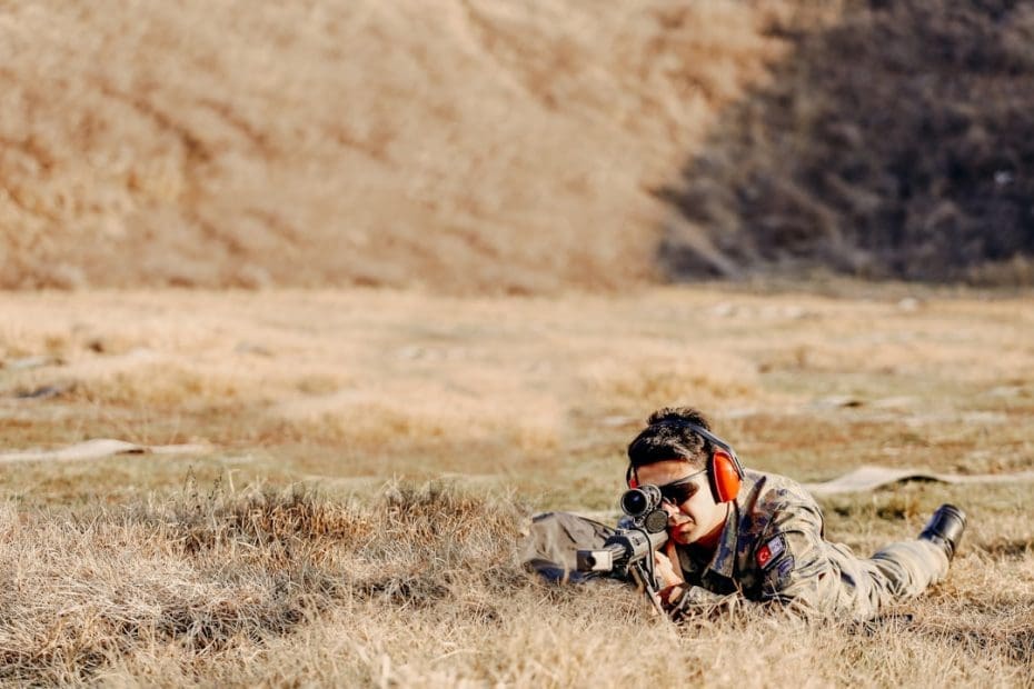 veteran service dog training — Veteran Service Dog Training Programs: How They Differ From General Programs